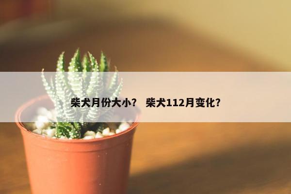 柴犬月份大小？ 柴犬112月变化？