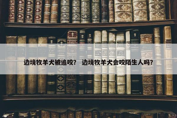 边境牧羊犬被追咬？ 边境牧羊犬会咬陌生人吗？
