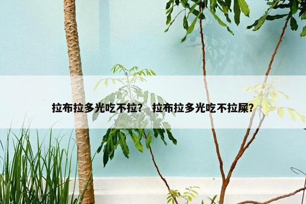 拉布拉多光吃不拉？ 拉布拉多光吃不拉屎？