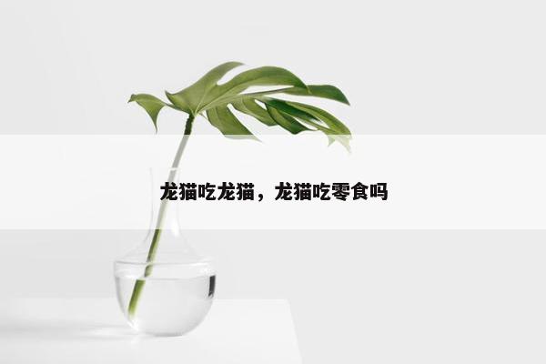 龙猫吃龙猫，龙猫吃零食吗