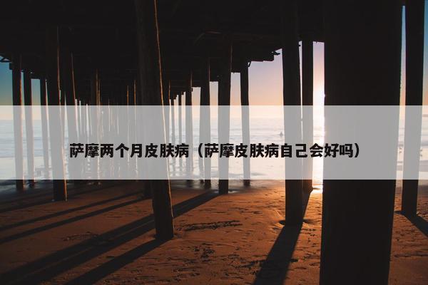 萨摩两个月皮肤病（萨摩皮肤病自己会好吗）