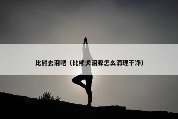 比熊去泪吧（比熊犬泪腺怎么清理干净）