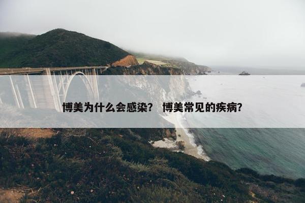 博美为什么会感染？ 博美常见的疾病？