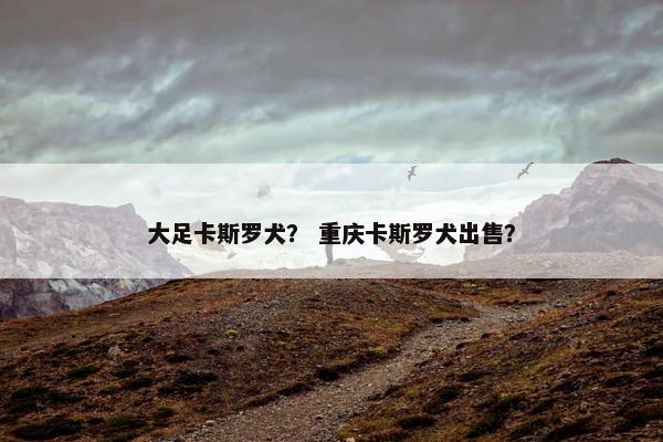 大足卡斯罗犬？ 重庆卡斯罗犬出售？