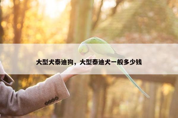大型犬泰迪狗，大型泰迪犬一般多少钱
