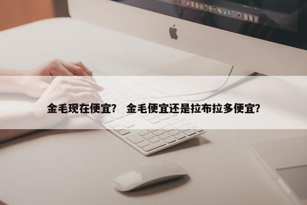 金毛现在便宜？ 金毛便宜还是拉布拉多便宜？