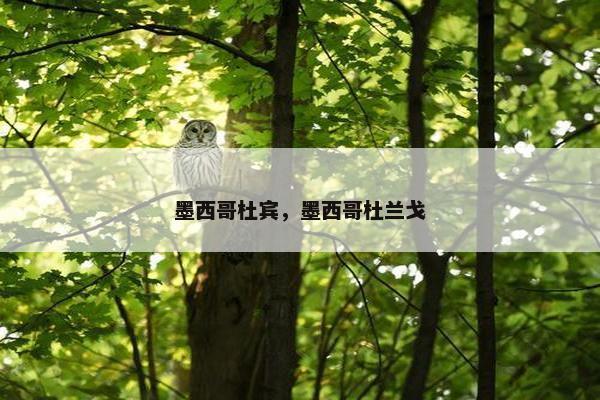 墨西哥杜宾，墨西哥杜兰戈