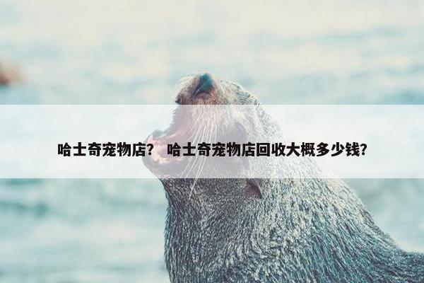 哈士奇宠物店？ 哈士奇宠物店回收大概多少钱？