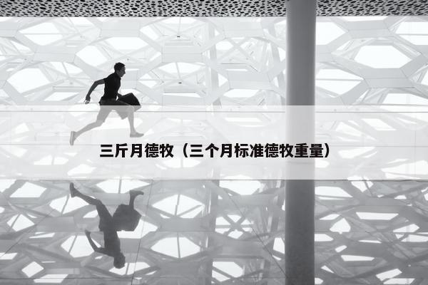 三斤月德牧（三个月标准德牧重量）
