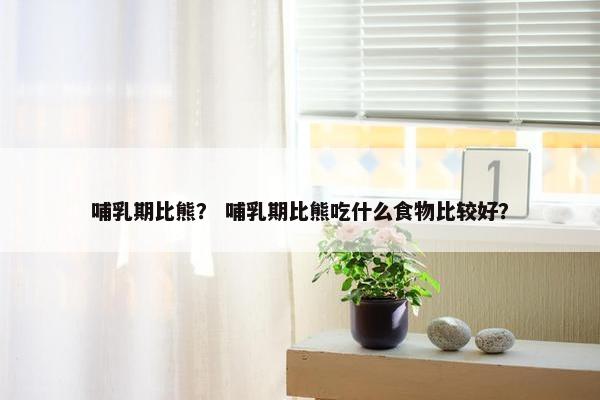 哺乳期比熊？ 哺乳期比熊吃什么食物比较好？