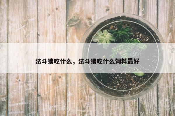 法斗猪吃什么，法斗猪吃什么饲料最好