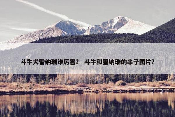 斗牛犬雪纳瑞谁厉害？ 斗牛和雪纳瑞的串子图片？