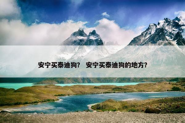 安宁买泰迪狗？ 安宁买泰迪狗的地方？