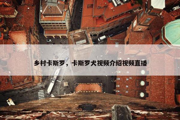 乡村卡斯罗，卡斯罗犬视频介绍视频直播