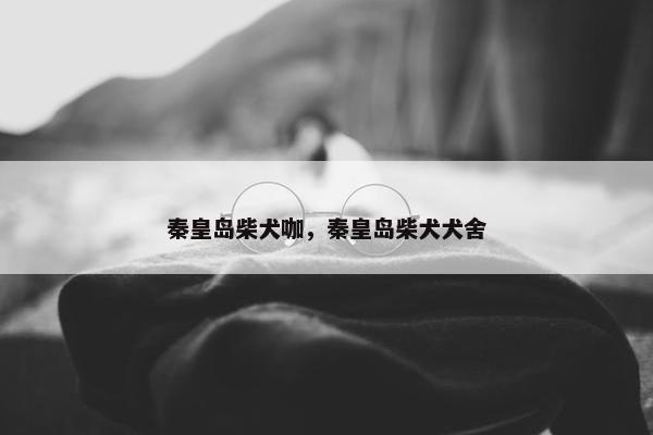 秦皇岛柴犬咖，秦皇岛柴犬犬舍