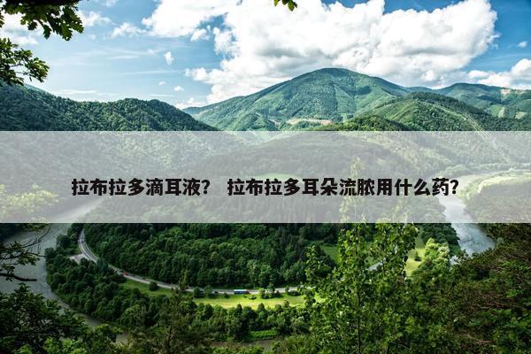 拉布拉多滴耳液？ 拉布拉多耳朵流脓用什么药？