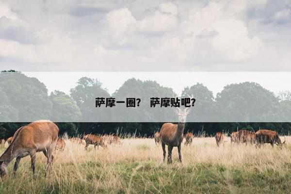 萨摩一圈？ 萨摩贴吧？