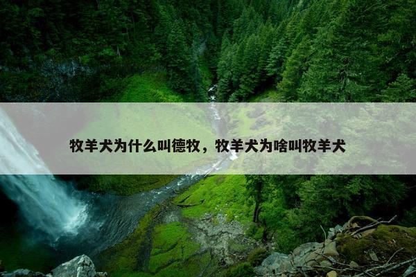 牧羊犬为什么叫德牧，牧羊犬为啥叫牧羊犬