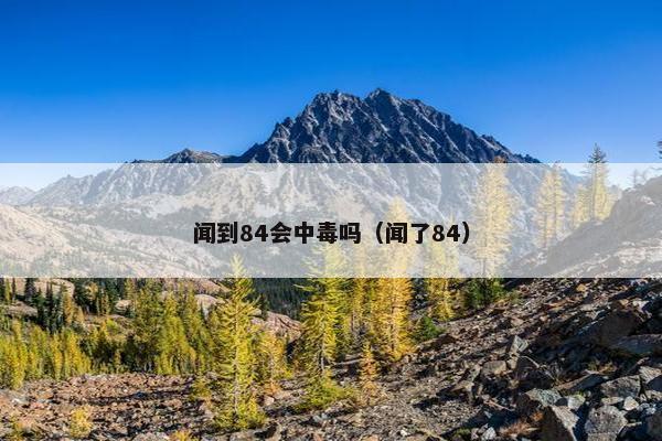 闻到84会中毒吗（闻了84）