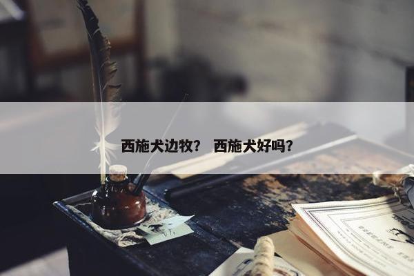 西施犬边牧？ 西施犬好吗？