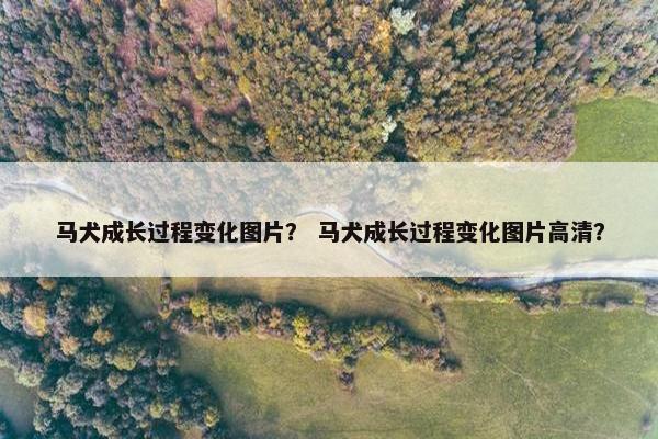 马犬成长过程变化图片？ 马犬成长过程变化图片高清？