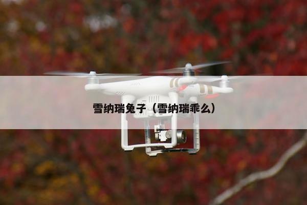 雪纳瑞兔子（雪纳瑞乖么）