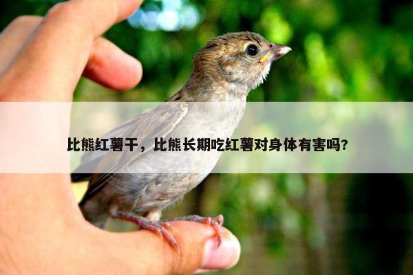比熊红薯干，比熊长期吃红薯对身体有害吗?
