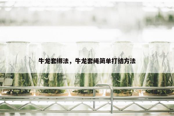 牛龙套绑法，牛龙套绳简单打结方法