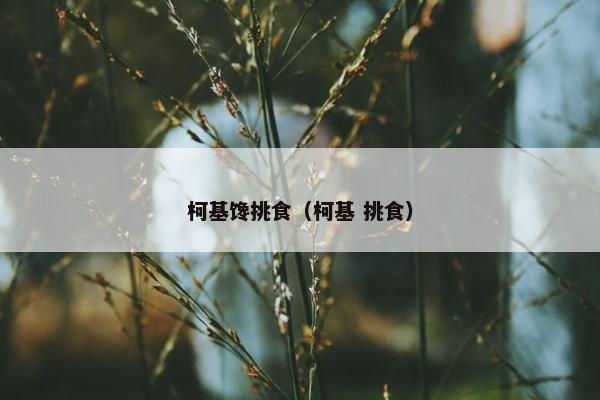 柯基馋挑食（柯基 挑食）