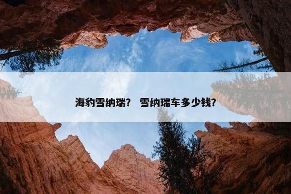 海豹雪纳瑞？ 雪纳瑞车多少钱？