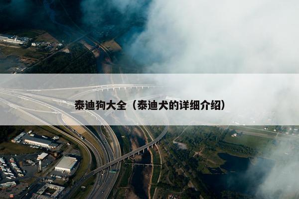 泰迪狗大全（泰迪犬的详细介绍）