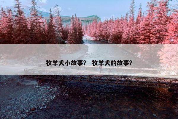 牧羊犬小故事？ 牧羊犬的故事？