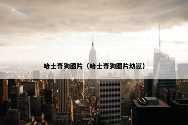 哈士奇狗图片（哈士奇狗图片幼崽）