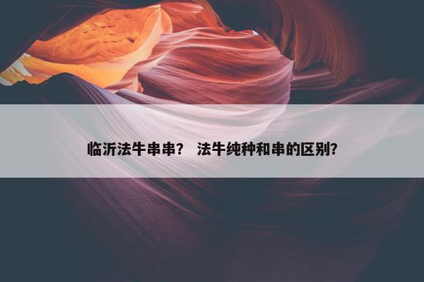 临沂法牛串串？ 法牛纯种和串的区别？