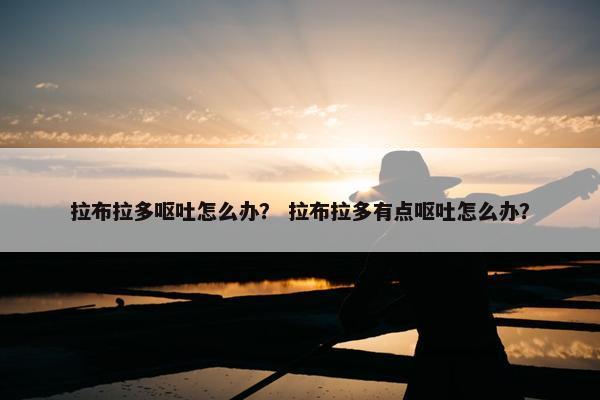 拉布拉多呕吐怎么办？ 拉布拉多有点呕吐怎么办？