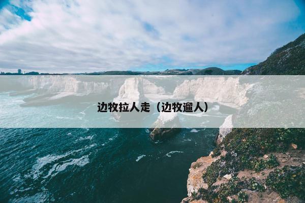 边牧拉人走（边牧遛人）