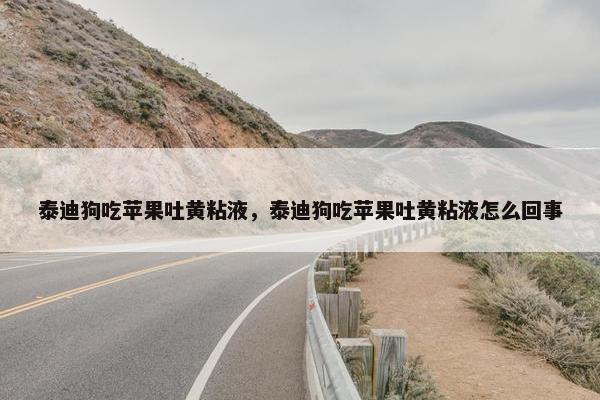 泰迪狗吃苹果吐黄粘液，泰迪狗吃苹果吐黄粘液怎么回事