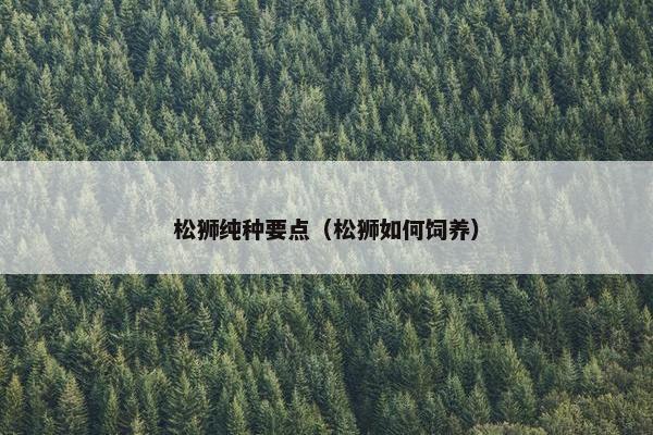松狮纯种要点（松狮如何饲养）