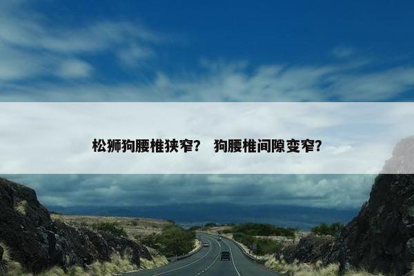 松狮狗腰椎狭窄？ 狗腰椎间隙变窄？