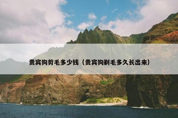 贵宾狗剪毛多少钱（贵宾狗剃毛多久长出来）