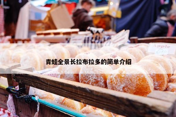 青蛙全景长拉布拉多的简单介绍