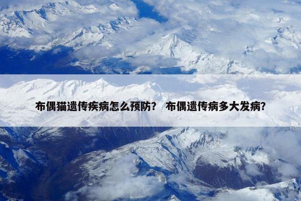 布偶猫遗传疾病怎么预防？ 布偶遗传病多大发病？
