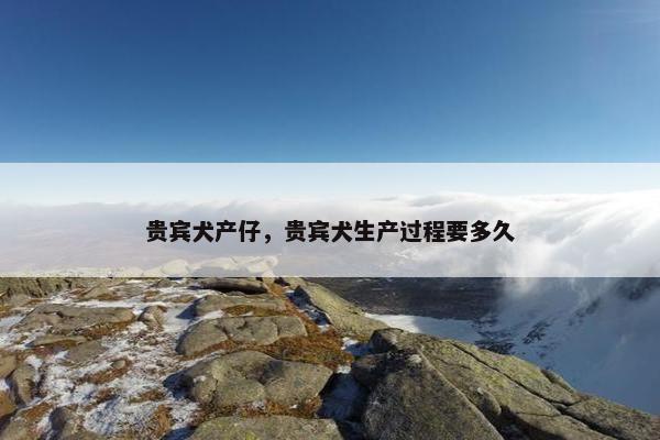 贵宾犬产仔，贵宾犬生产过程要多久