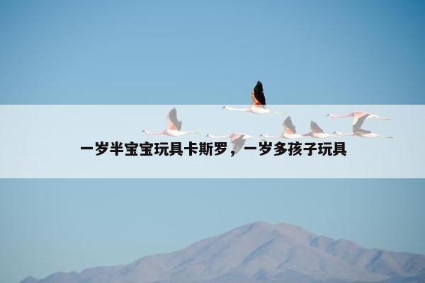 一岁半宝宝玩具卡斯罗，一岁多孩子玩具