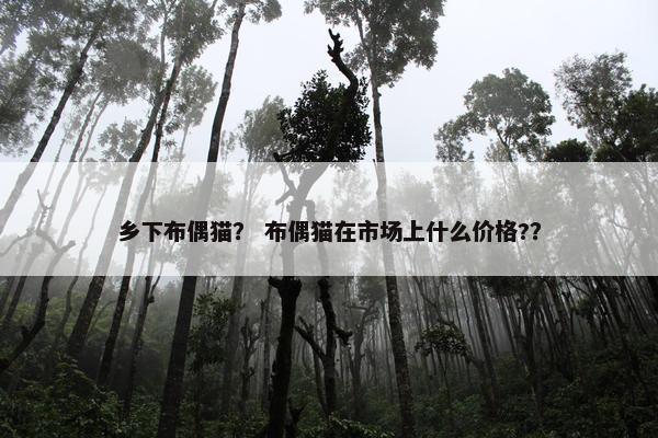 乡下布偶猫？ 布偶猫在市场上什么价格?？