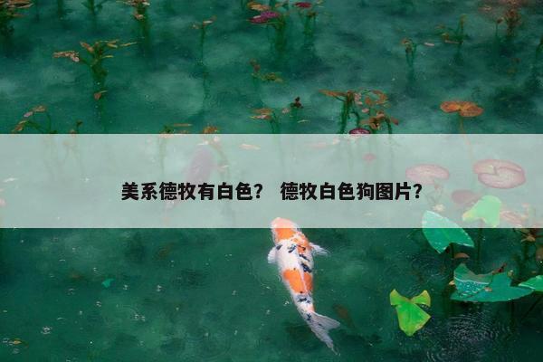 美系德牧有白色？ 德牧白色狗图片？