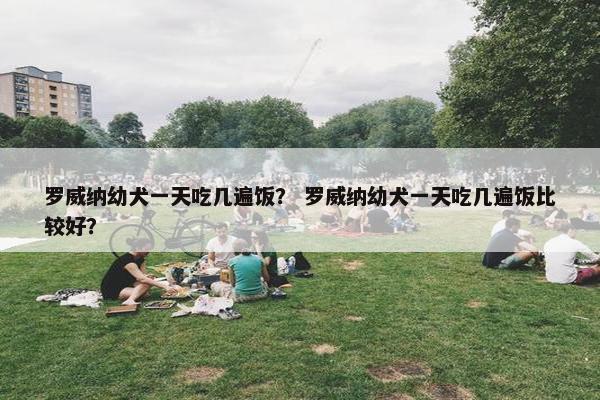 罗威纳幼犬一天吃几遍饭？ 罗威纳幼犬一天吃几遍饭比较好？