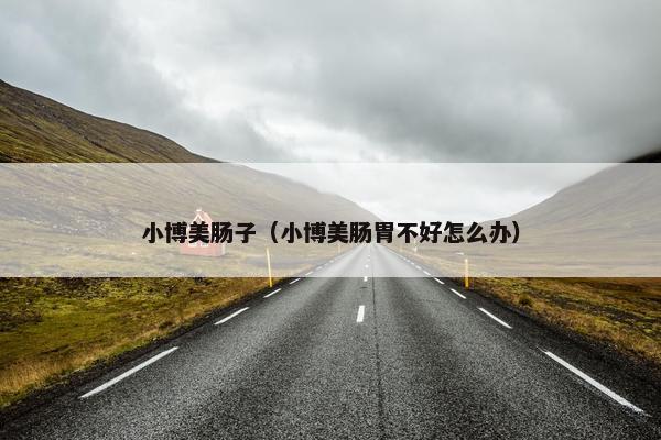 小博美肠子（小博美肠胃不好怎么办）
