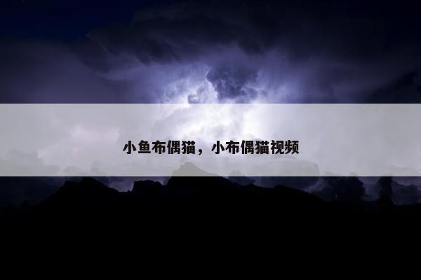 小鱼布偶猫，小布偶猫视频