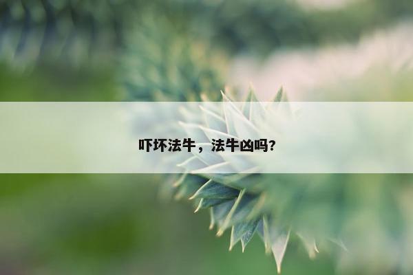 吓坏法牛，法牛凶吗?